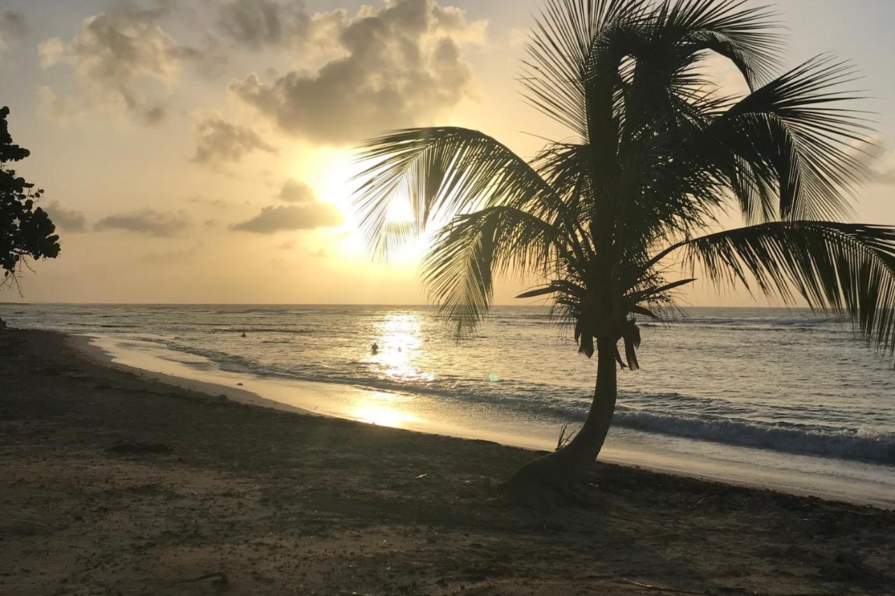 Studio Tahiti Vue Mer Saint-Francois  Exteriér fotografie